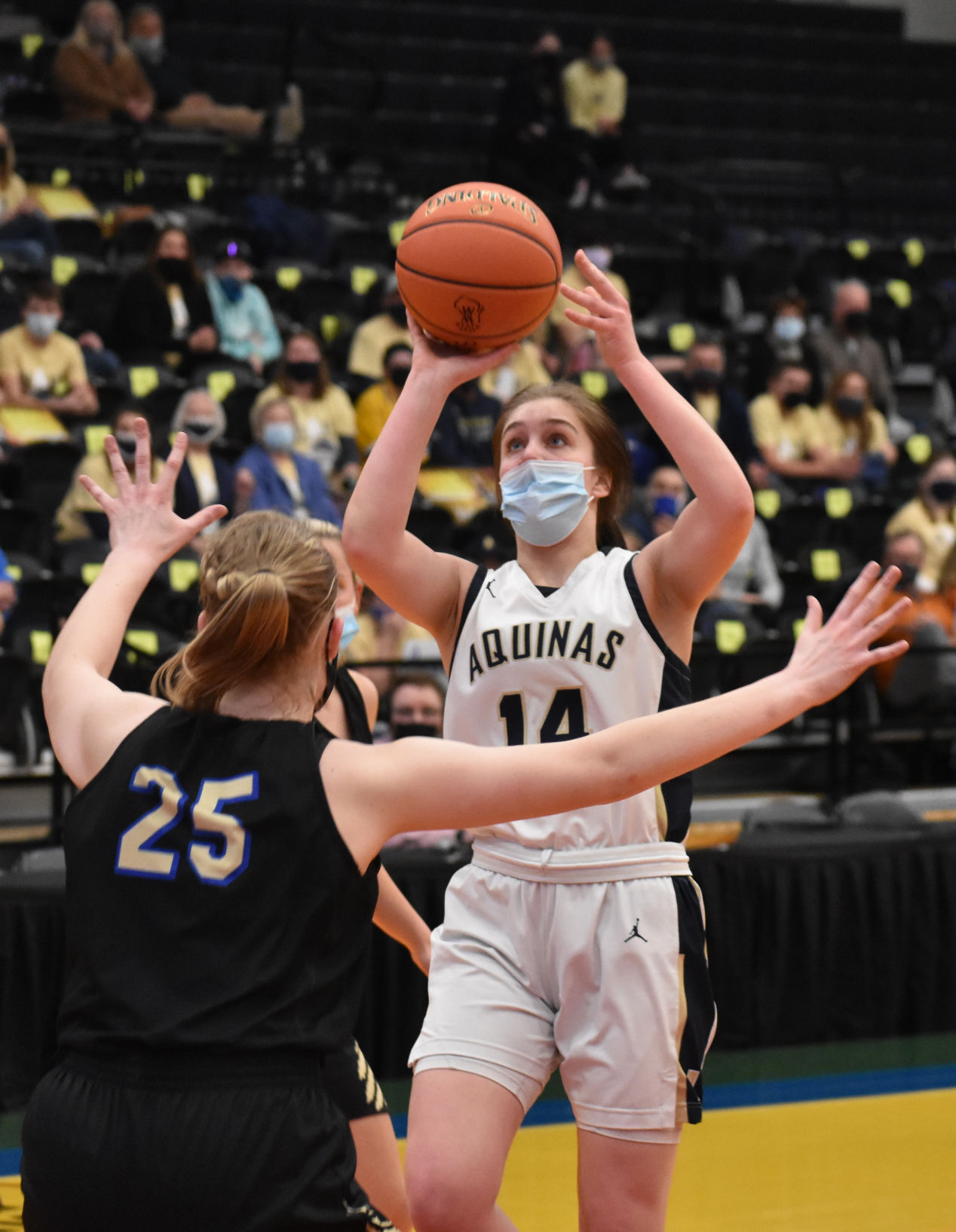 WIAA D3 championship 5